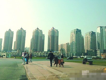 男子廣場(chǎng)遛兩藏獒一只沒(méi)拴繩 路人遠(yuǎn)遠(yuǎn)躲開