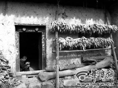 張俊民家一貧如洗,為了孩子他不得不賣掉僅有的一點(diǎn)玉米