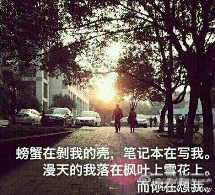 (sh)W(wng)j(lu)߼t W(wng)Ѡ(zhng)ģ(D)