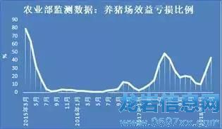豬價(jià)只跌不漲的原因,現(xiàn)在終于知道啦!