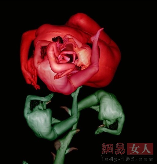 wˇg(sh):wrʢ玧w֮(D)