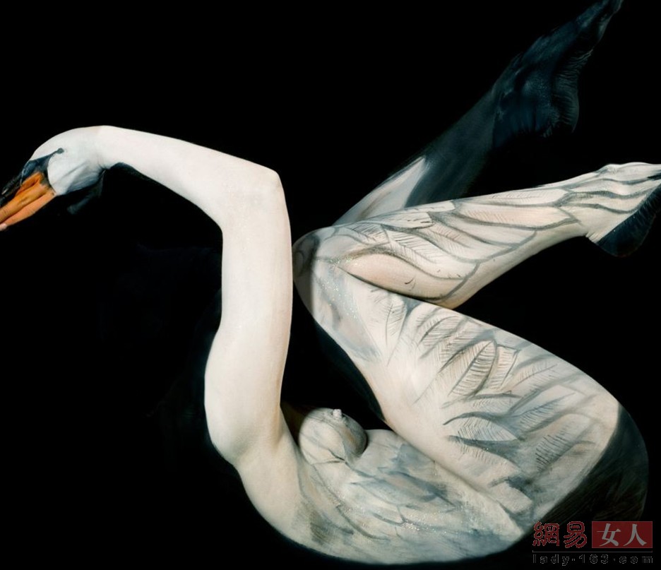 wˇg(sh):wrʢ玧w֮(D)